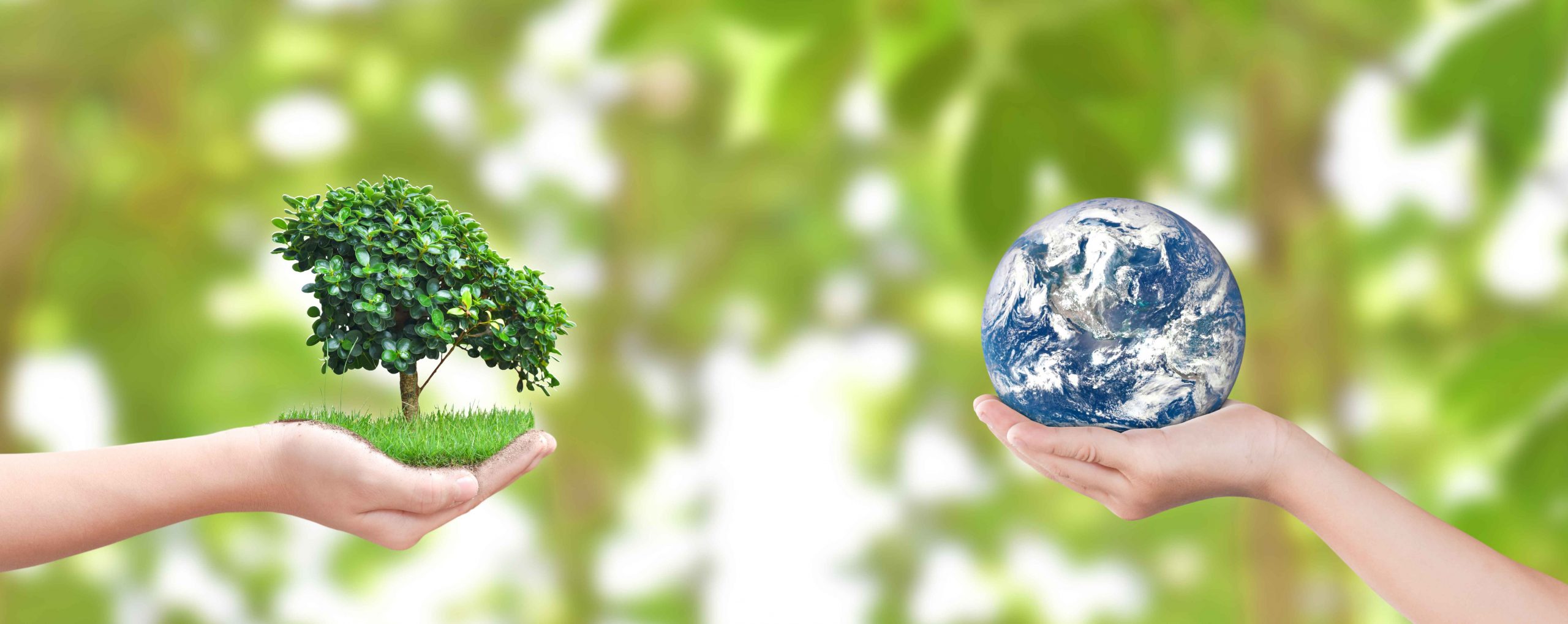 environment friendly solutions